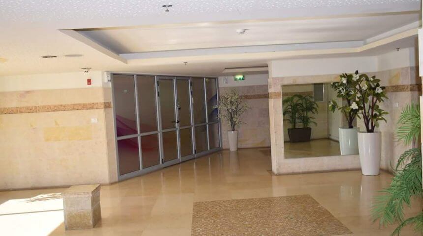 וקניתי לי עץ ירוק מפלסטיק: למה זה לא באמת מספיק ואתם עדיין חייבים חברת ניקיון בניינים? וקניתי לי עץ ירוק מפלסטיק: למה זה לא באמת מספיק ואתם עדיין חייבים חברת ניקיון בניינים?